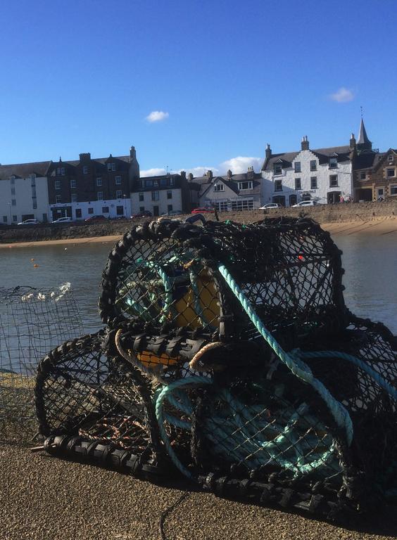 Arduthie House Bed and Breakfast Stonehaven Buitenkant foto